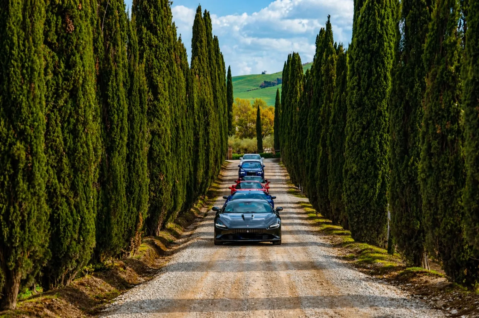 Supercar convoy between cypress trees